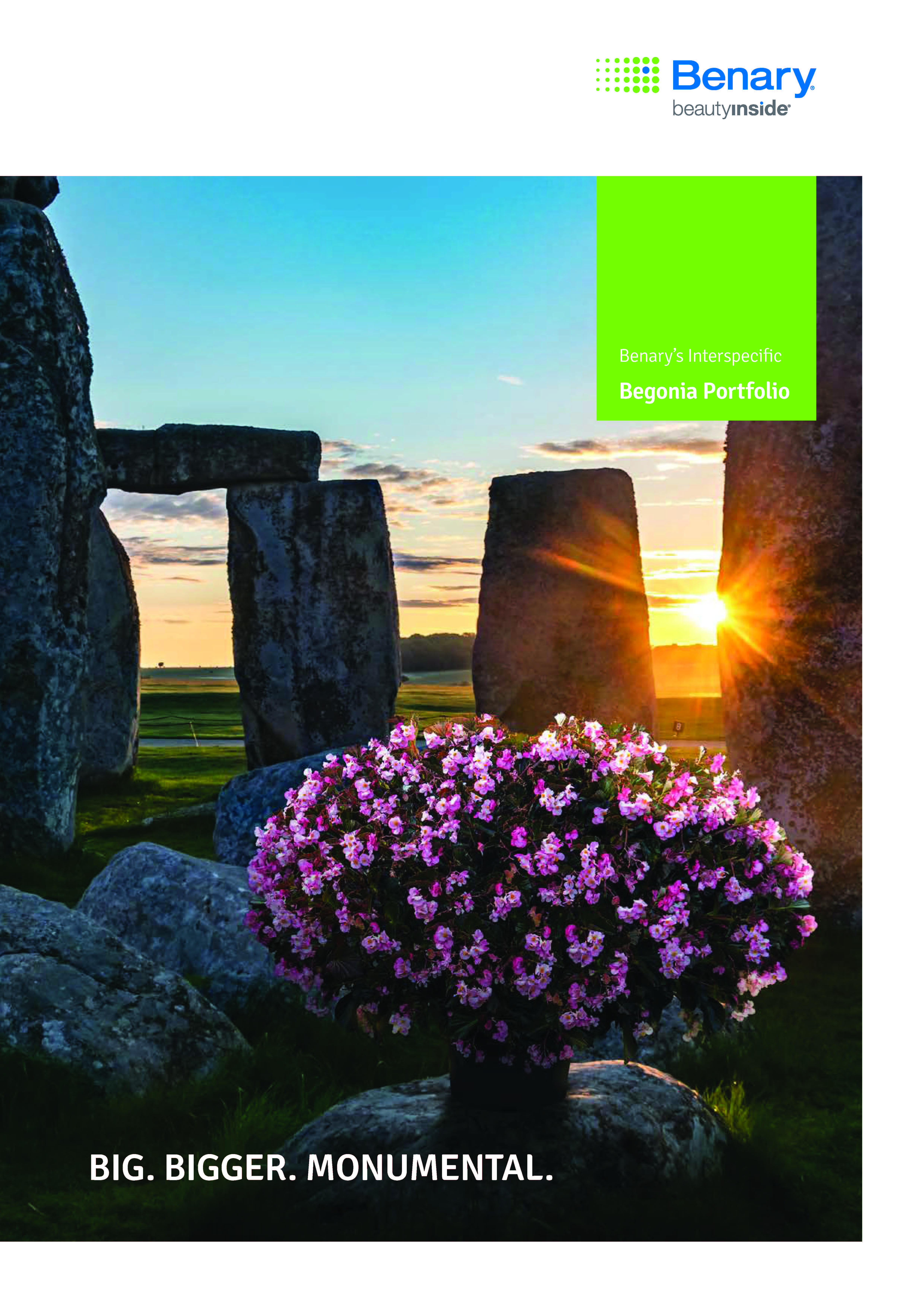 Benarys_interspecific_Begonia_logo